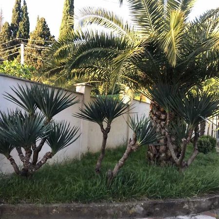 Guest House Dali Gagra Exterior foto
