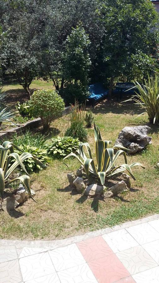 Guest House Dali Gagra Exterior foto
