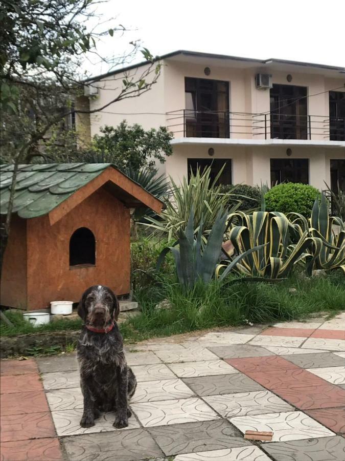 Guest House Dali Gagra Exterior foto